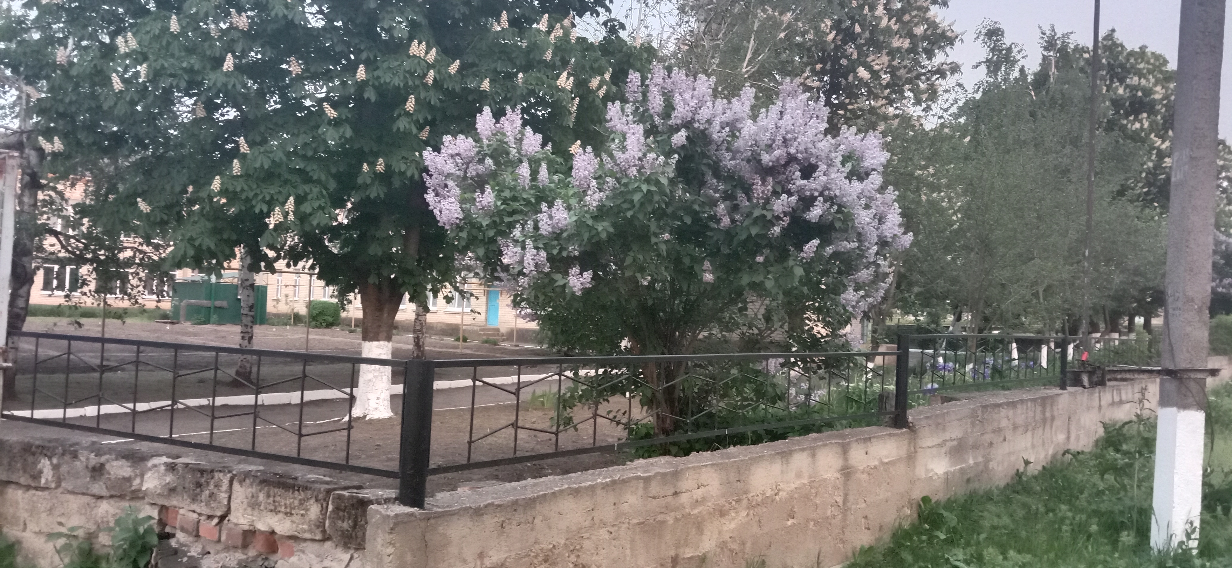 Школьный двор